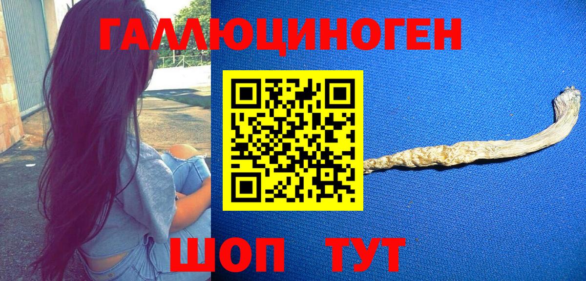 Псилоцибиновые грибы Psilocybe  Вход с VPN  Кашира 